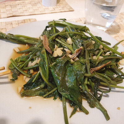 Morning Glory on a plate