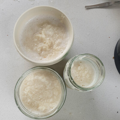 Jars with horseradish sauce
